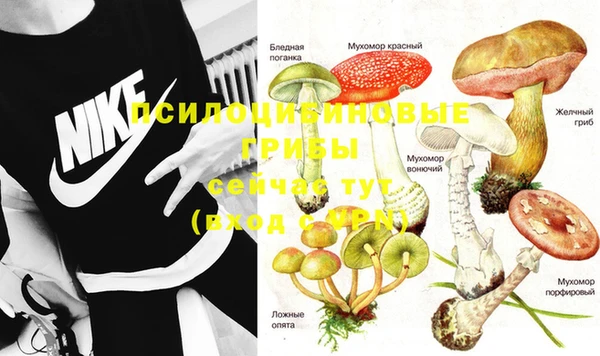 MESCALINE Нефтегорск
