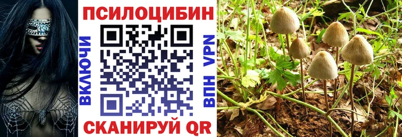 купить наркоту Касли Псилоцибиновые грибы Magic Shrooms